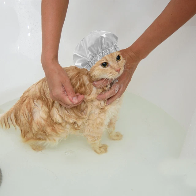 Cappello doccia gattino casa gatto cappuccio bagno impermeabile cucciolo cappello doccia animale domestico
