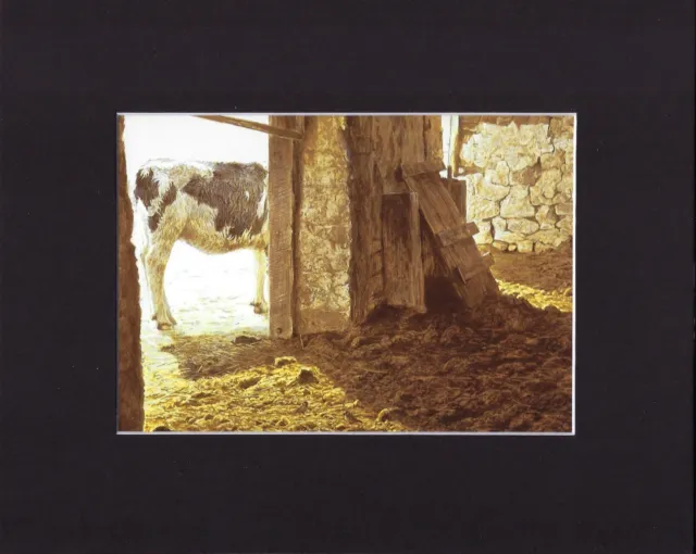 8X10" Matted Print Art Painting Picture, Robert Bateman: Barn, 1976