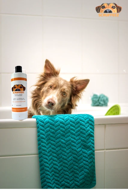 Antiseptic Anti Bacterial Fungal Apple Fresh Dry Itchy Skin Dog Shampoo 500ml