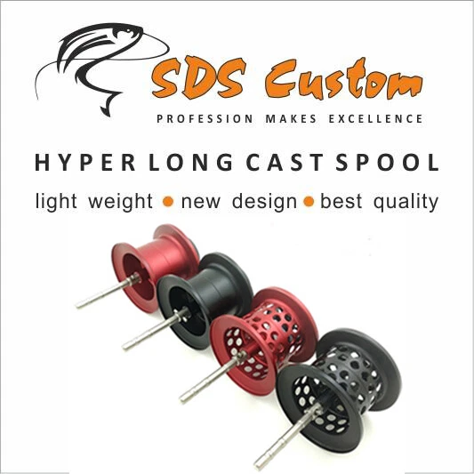 HLC HYPER LONG CAST スプール Daiwa 21 Steez A TW HLC (Hyper Long Cast) 2021- - Low