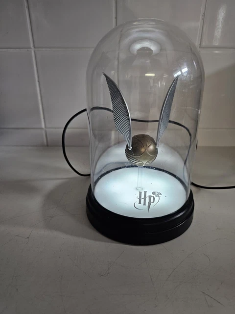 Hogwarts Quidditch Official Licensed Harry Potter Martinique