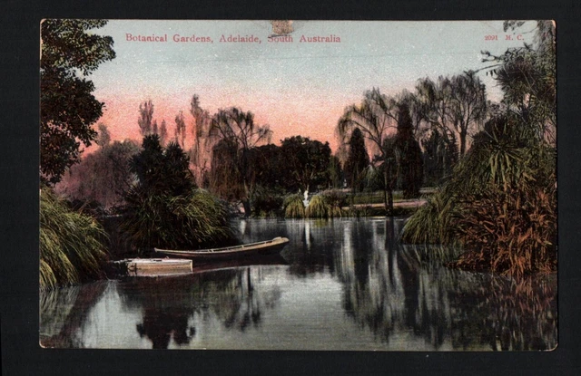 A2070 Australia SA Adelaide Botanic Gardens Pond vintage postcard