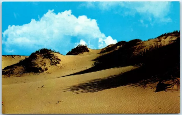 Postcard - Sand Dunes on Cape Cod, Massachusetts