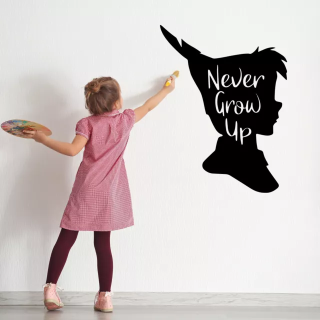 Disney Never Grow Up Peter Pan Vinyl Wall Door Art Decal Removable Sticker