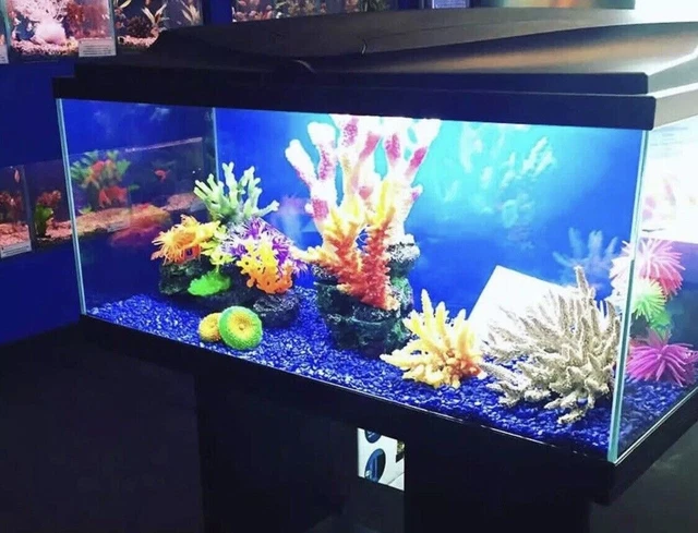 **BRAND NEW** LARGE Fish Tank Aquarium Complete Set-up: Heater, Filter & More 10