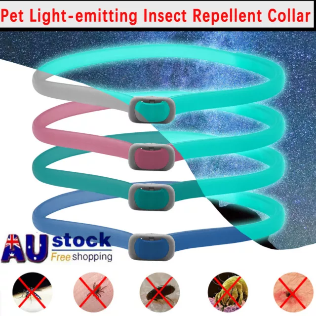 Cat And Dog Pet Collar Luminous Adjustable Soft Rubber Anti Flea Tick Collar AUS