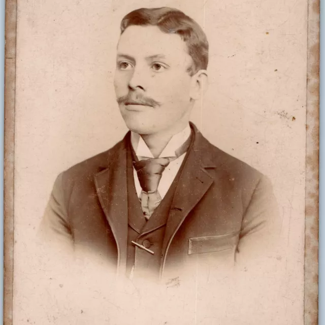 c1880s Rockford, IL Young Man Mustache Cabinet Card Photo Wilcox Anderson B9