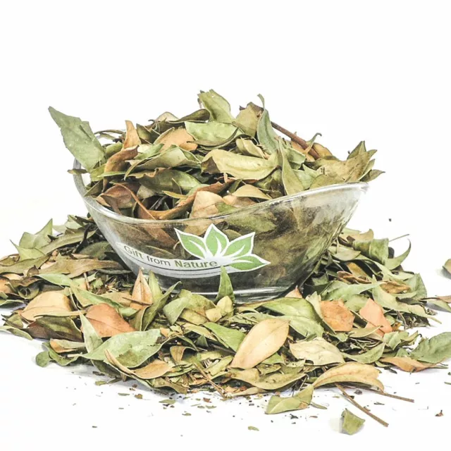 MYRTLE Leaf Dried ORGANIC Bulk Herb,Myrtus communis Folia