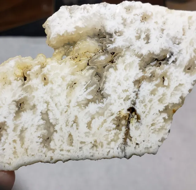 stinking water plume agate - SLAB - Beautiful Old Stock from Oregon. (42 grams)
