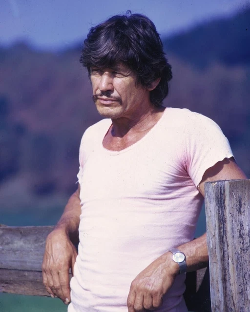 Charles Bronson 8 x 10 / 8x10 Photo Picture IMAGE #2