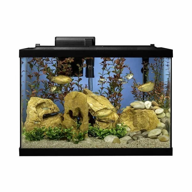 Fish Tank 20 Gallon LED Glass Aquarium Starter Kit with Filter Heater & Plants