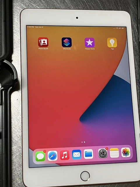Apple iPad Mini 5th Gen 7.9in 64GB Wi-Fi W:Cellular 7.9in - Otter Box Rosegold