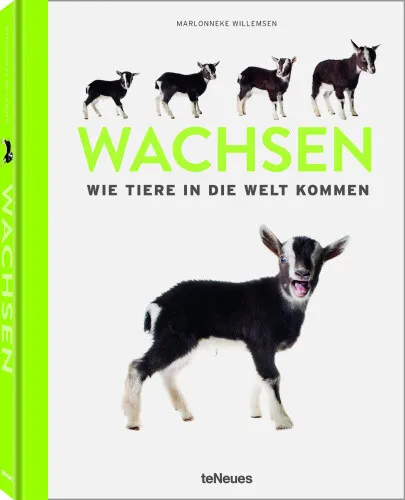 Wachsen [German] by Willemsen, Marlonneke