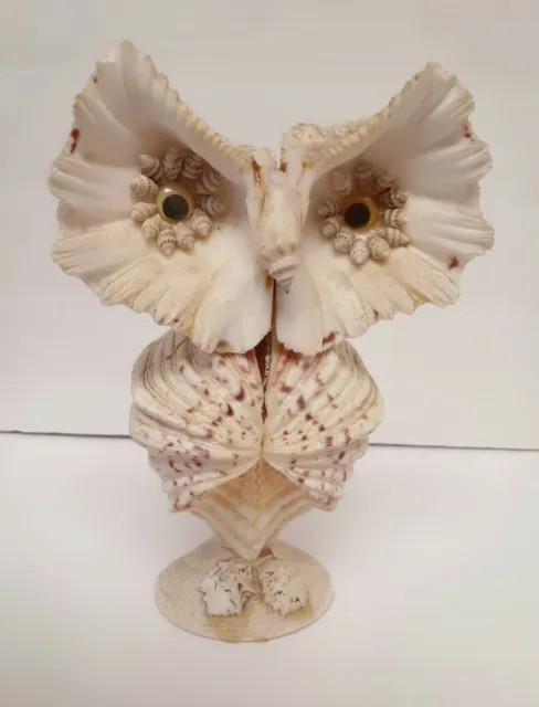 Sea Shell Owl Bird Art Sculpture Figurine Figure Hand Crafted Folk Art Lg 8.25"