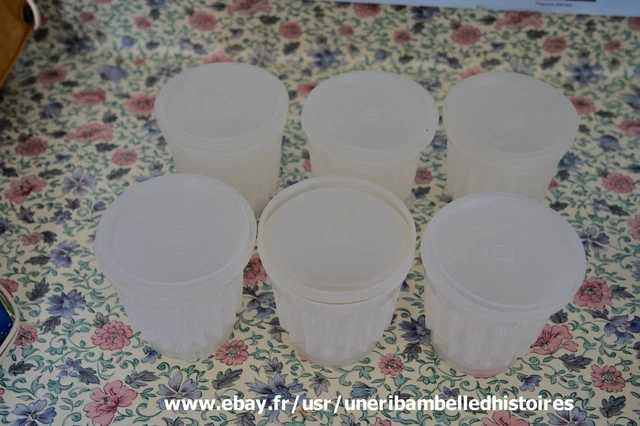 Ensemble Vintage Tupperware - 6 Moules à Glaces + Support - Plastique Blanc - Années 70/80