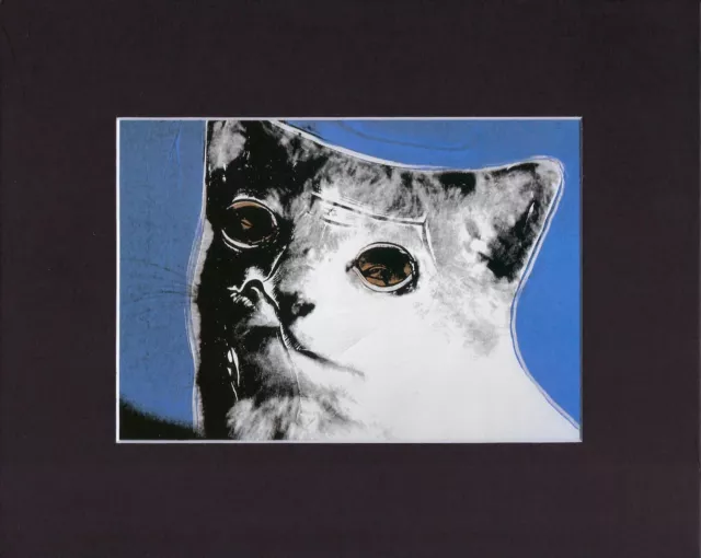 8X10" Matted Print Art Picture Andy Warhol: Cat, 1976