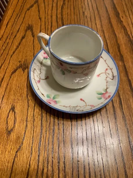 Vintage Nippon Hand Painted Cup And Saucer, white w/ pink blue floral pattern