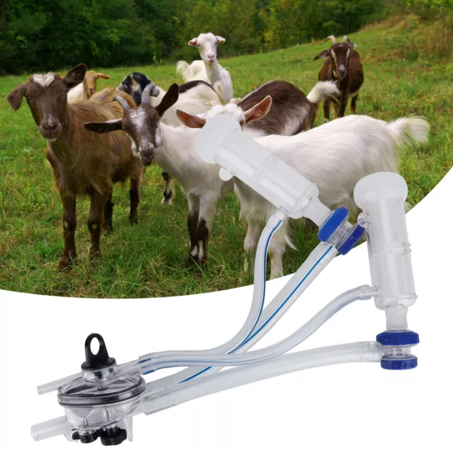 Sheep Goat Milking Cluster Groups Teat Cup Milk Collector For Milker