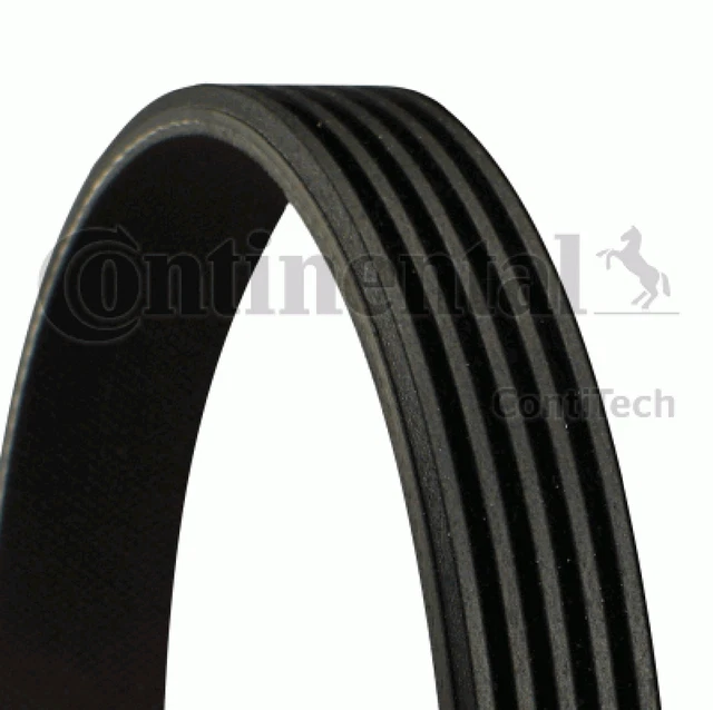 Cinghia trapezoidale CONTINENTAL CTAM 5PK1285 per ALFA R50 164 NISSAN 155 QX4 1285 2