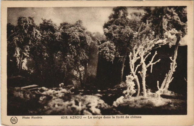 CPA AK AZROU Snow in the Chen Doret MOROCCO (23705)
