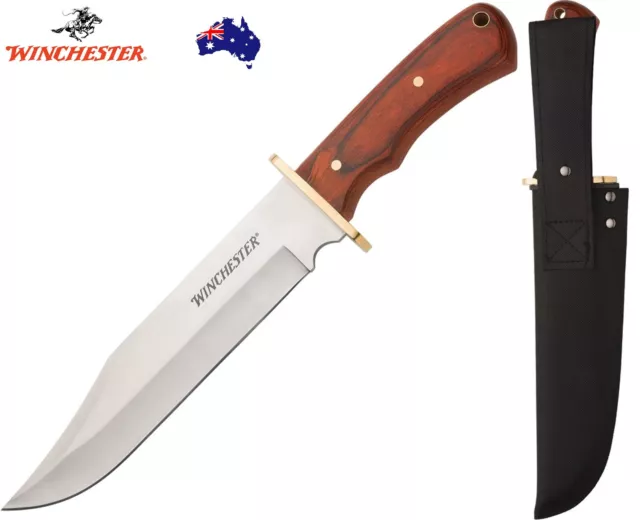 Winchester Large Bowie - Fixed Blade Knife + Nylon Belt Sheath! Stainless Blade!