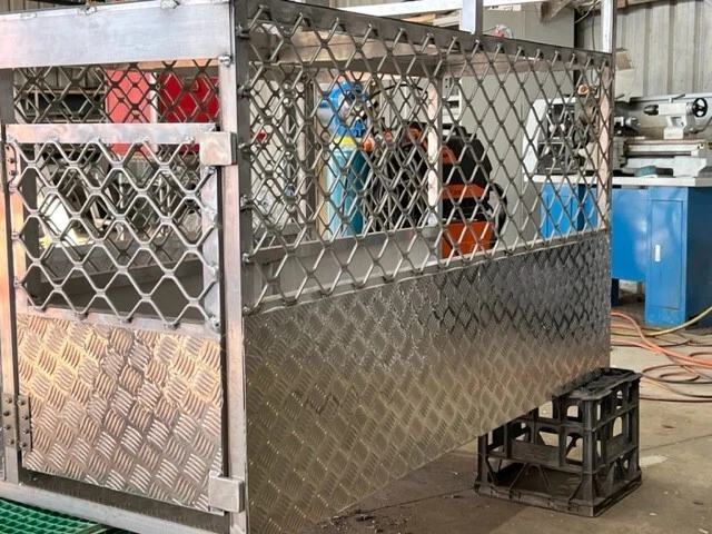 Buggy Cage