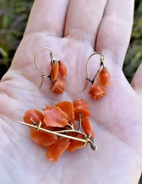 ANTIQUE GEORGIAN VICTORIAN CARVED SALMON CORAL YELLOW GOLD BROOCH EARRINGS 7gr 3