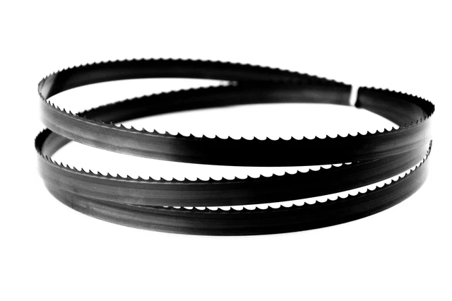 Nastro lama a nastro 2100 mm x 16 mm x 0,65 mm x 4 ZpZ per diversi tipi di legno