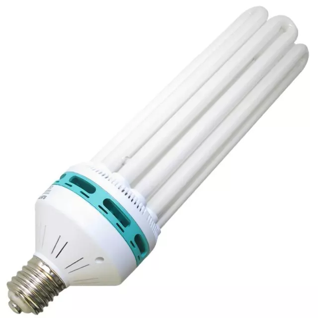 Energiesparlampe 250W Blüte