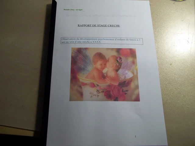 Rapport De Stage Cap Petite Enfance Pdf À VENDRE! - PicClick FR