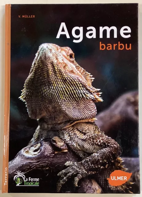 L' AGAME BARBU livre Ulmer terrarium