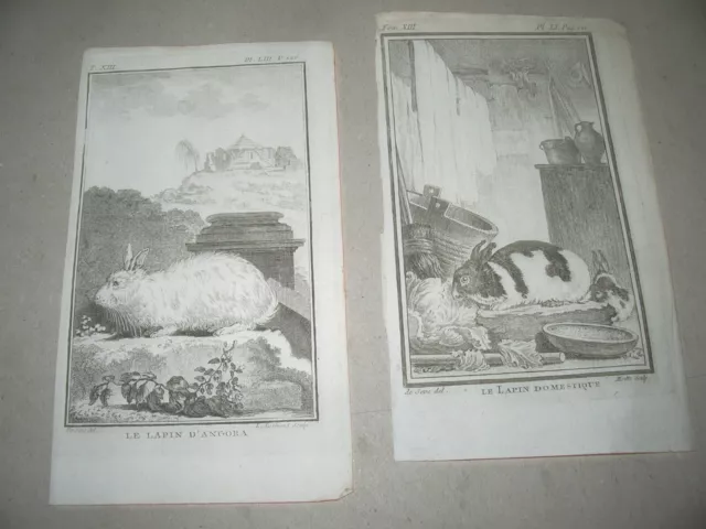 2 gravures  LAPINS   dessinés de SEVE gravés par Baron etc 18ème