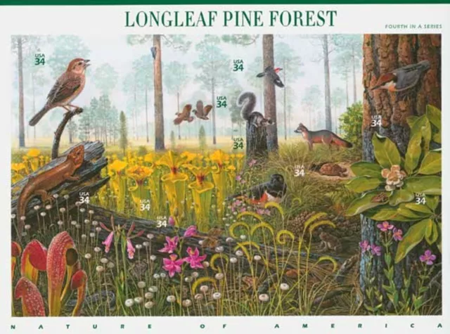 3611 - 2002 34c Nature of America: Longleaf Pine Forest *10 stamps)