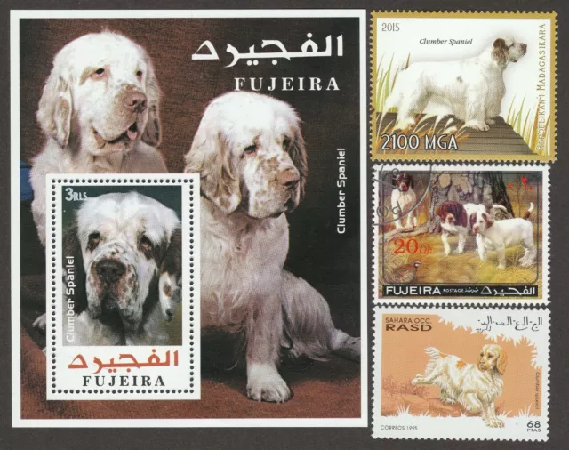 CLUMBER SPANIEL ** Int'l Dog Postage Stamp Art Collection ** Great Gift Idea **