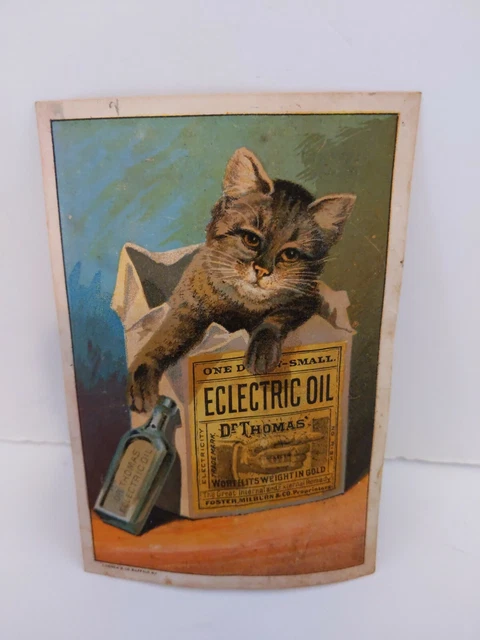 1880s Thomas' Electric Oil Quack Medicine Victorian Trade Card Bored Cat