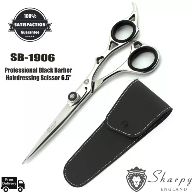 Ciseaux Coiffure Professionnel Ciseaux de Coupe de Cheveux Barbier & Pochette