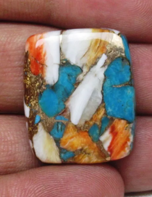 Spiny Oyster Copper Turquoise Baguette Cabochon 35.30 ct Loose Gemstone G 6673