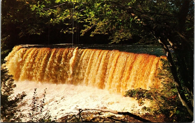 Tahquamenon Falls Michigan Water Wonderland Upper Peninsula Postcard VTG UNP