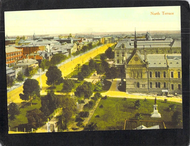 S0321 Australia SA Adelaide North Terrace Museum council postcard