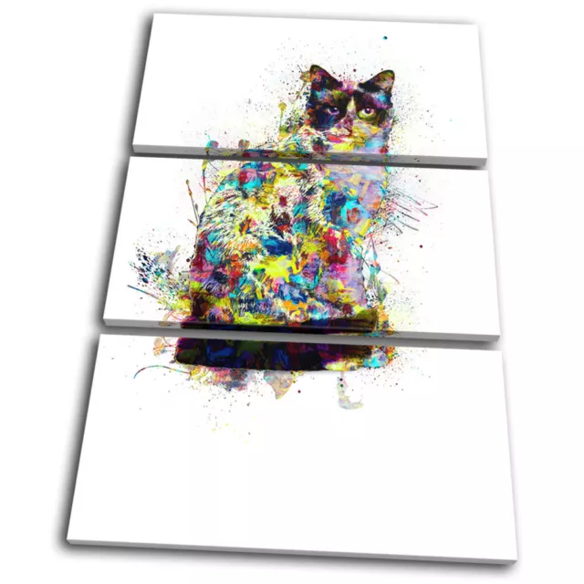 Cat Feline Colourful Pet Animals TREBLE TOILE murale ART Photo Print