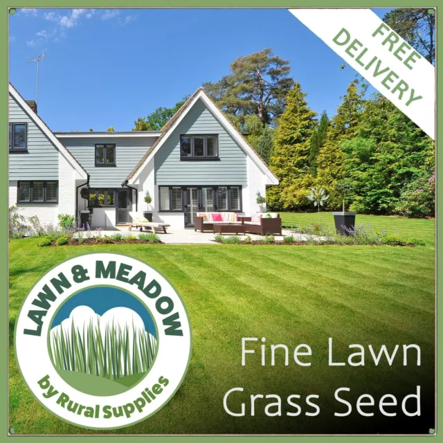 Fine Grass Seed for Low Maintenance Lawn Luxury Garden Less Mowing