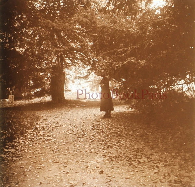 Femme dans un Parc 1920 Photo Plaque de verre Stereo Vintage V33L17n