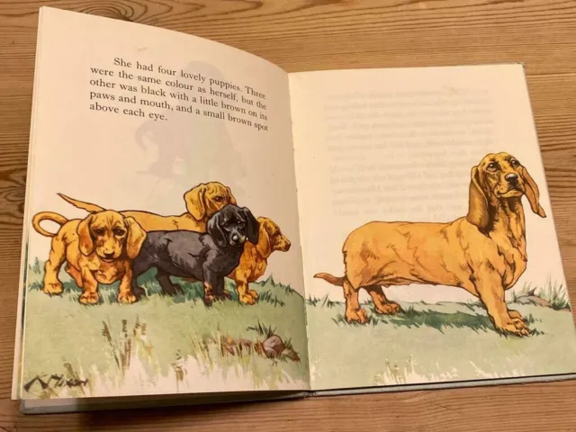 Rare Dachshund Dog Story Book By Nixon 1St 1957 "Pindi Poo" Colour Illustrations