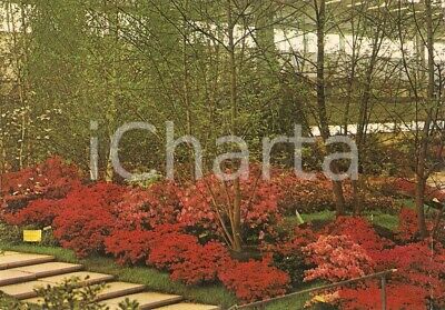 1981 GENOVA Fiera EUROFLORA Allestimenti con alberi e fiori *Cartolina FG NV