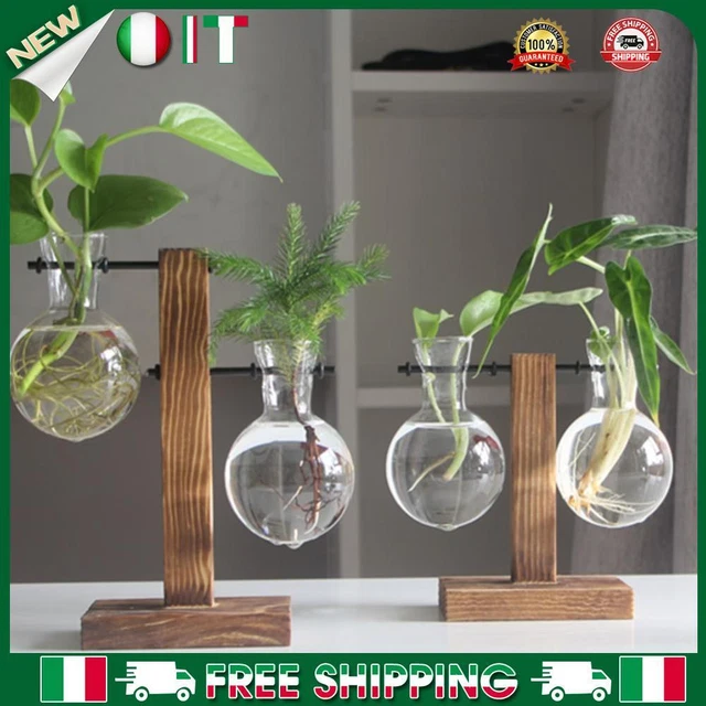 10 confezioni bonsai vasi da allenamento con vasso... – Grandado