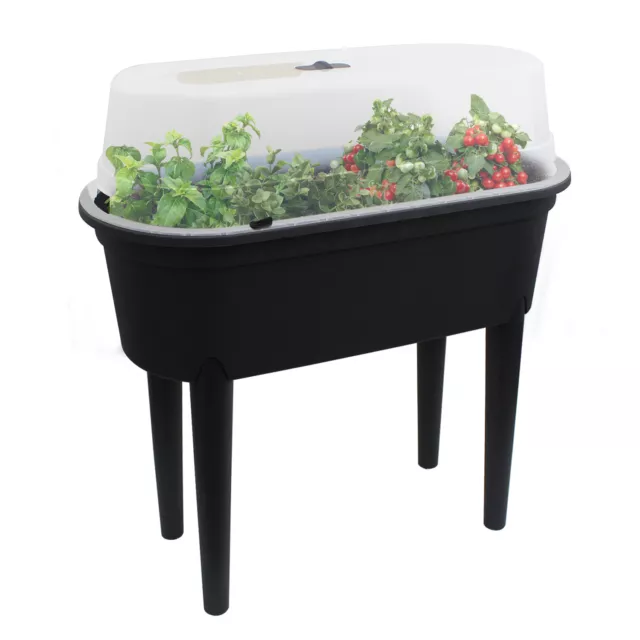 Planter Box Seeding Table Bed Mini Greenhouse Flower Plant Indoor Outdoor Garden