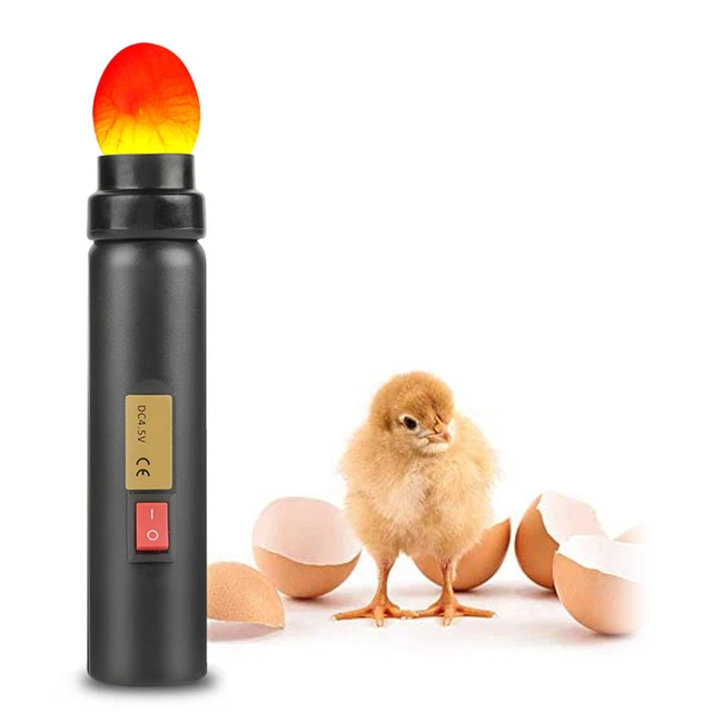 LED Light Egg Candler Tester Mini Incubateur D'éclairage Pour Expérience Exc Rmm
