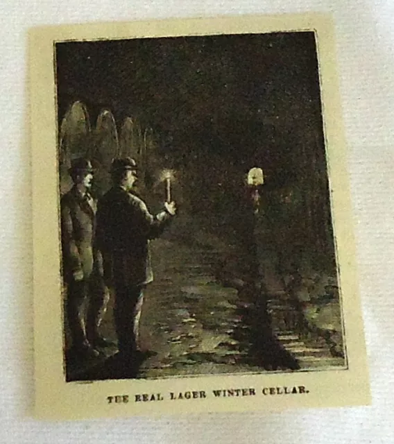 small 1882 magazine engraving ~ REAL LAGER WINTER CELLAR, Beer cellar in NY