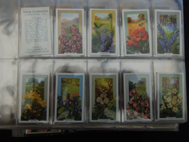 One Complete Set Cigarette Cards Gallaher Garden Flowers