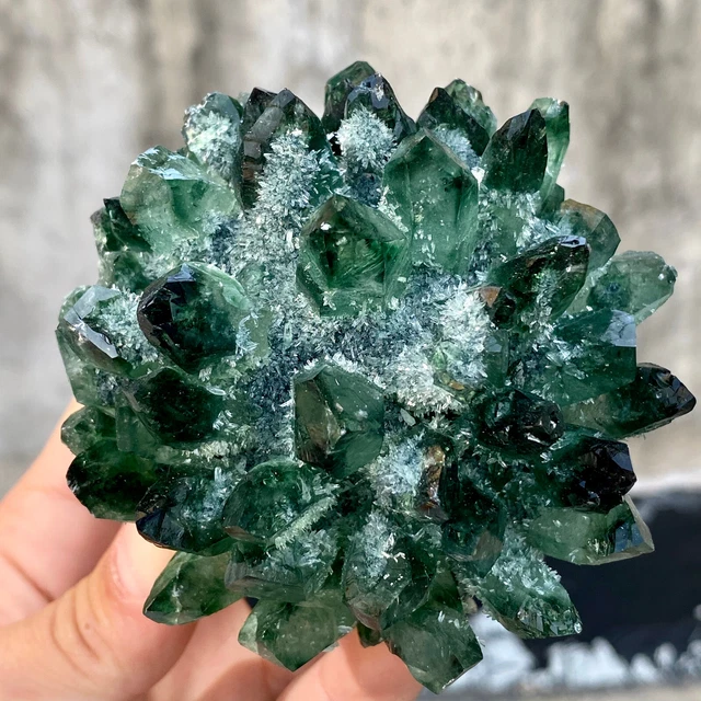 1.2LB New Find Green Phantom Quartz Crystal Cluster Mineral Specimen Healing